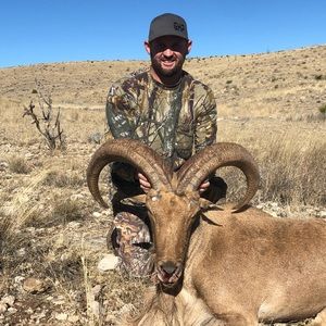 Meet your Posher, Dusty